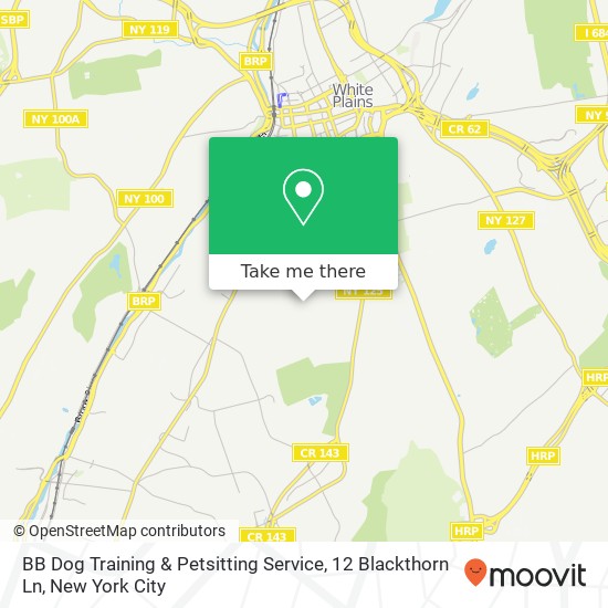 Mapa de BB Dog Training & Petsitting Service, 12 Blackthorn Ln