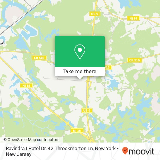 Mapa de Ravindra I Patel Dr, 42 Throckmorton Ln