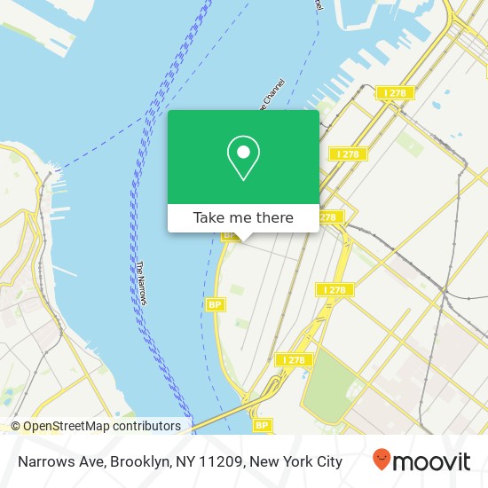 Narrows Ave, Brooklyn, NY 11209 map