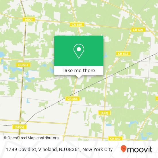 Mapa de 1789 David St, Vineland, NJ 08361