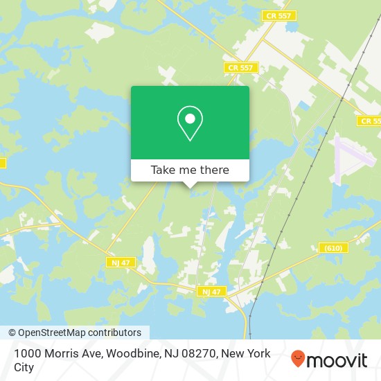 Mapa de 1000 Morris Ave, Woodbine, NJ 08270