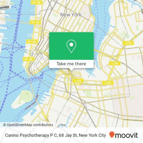 Canino Psychotherapy P C, 68 Jay St map