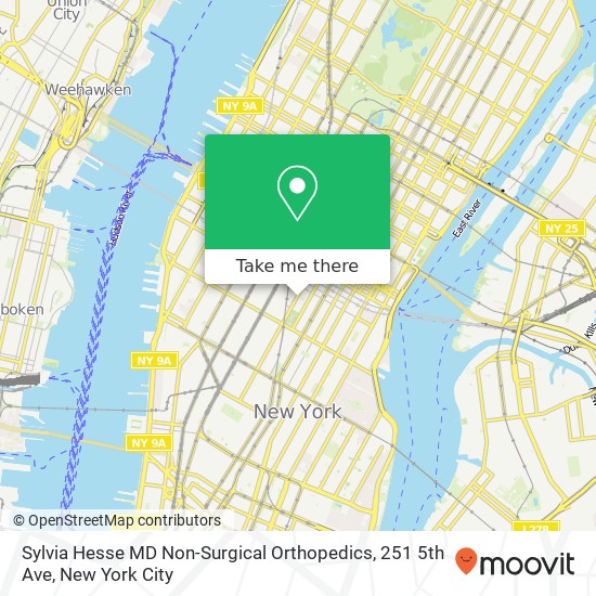 Mapa de Sylvia Hesse MD Non-Surgical Orthopedics, 251 5th Ave