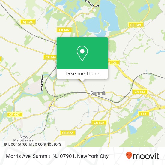 Morris Ave, Summit, NJ 07901 map