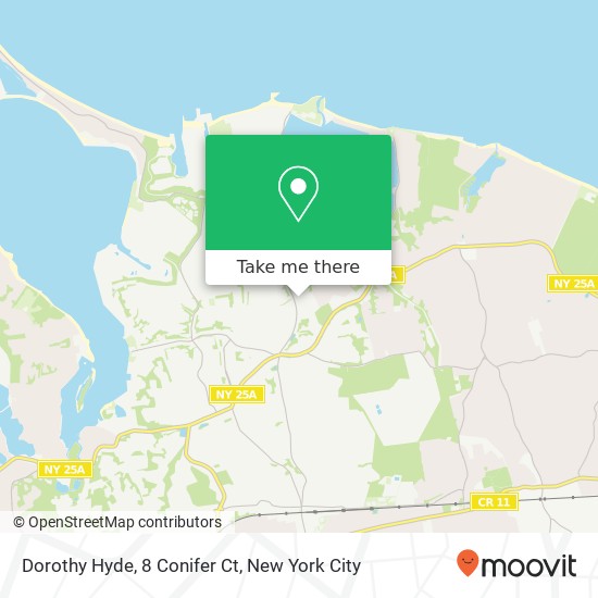 Mapa de Dorothy Hyde, 8 Conifer Ct