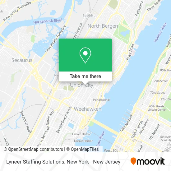 Lyneer Staffing Solutions map