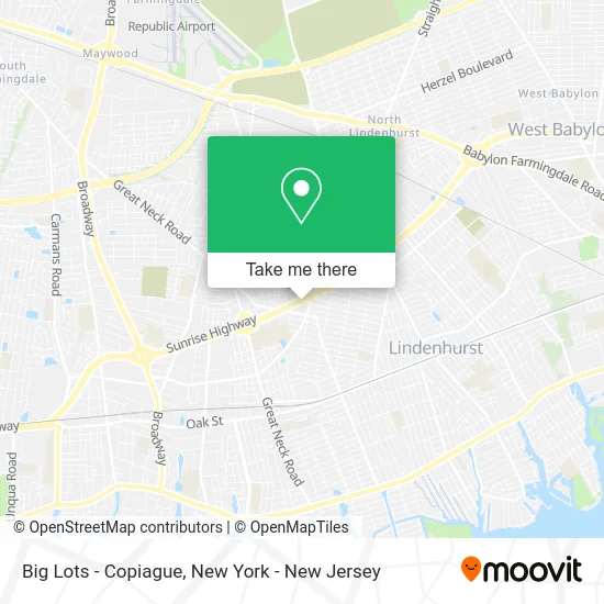 Big Lots - Copiague map
