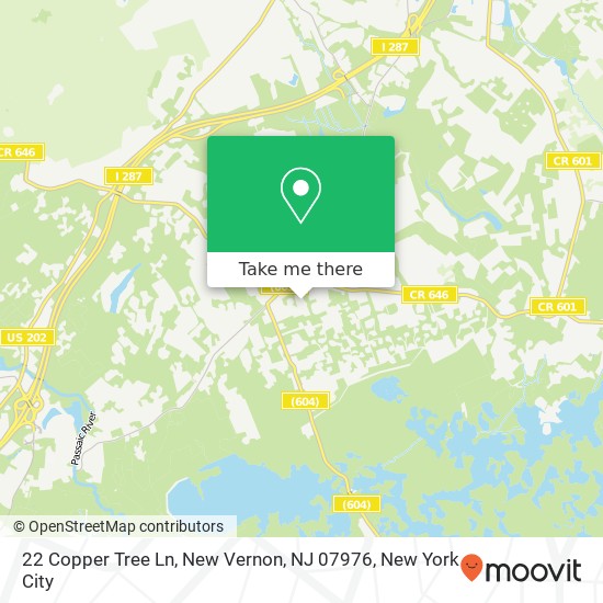 Mapa de 22 Copper Tree Ln, New Vernon, NJ 07976
