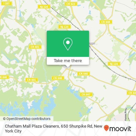 Chatham Mall Plaza Cleaners, 650 Shunpike Rd map