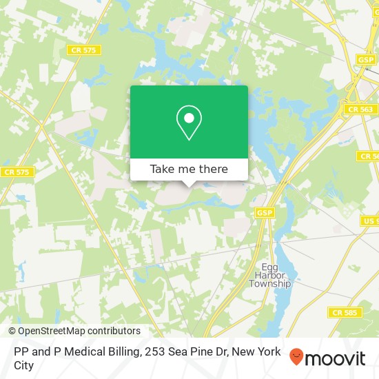 PP and P Medical Billing, 253 Sea Pine Dr map