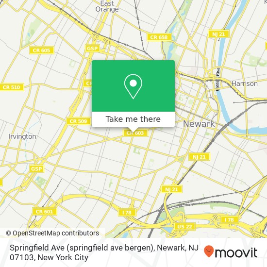 Mapa de Springfield Ave (springfield ave bergen), Newark, NJ 07103