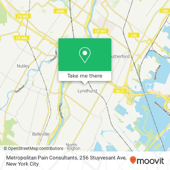 Mapa de Metropolitan Pain Consultants, 256 Stuyvesant Ave