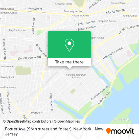 Foster Ave (96th street and foster) map