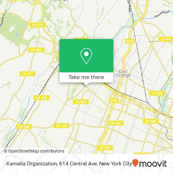 Mapa de Kamelia Organization, 614 Central Ave