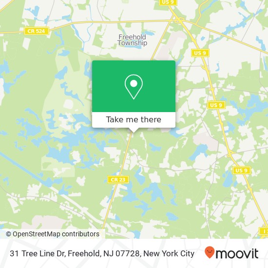 Mapa de 31 Tree Line Dr, Freehold, NJ 07728