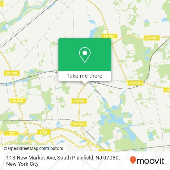 Mapa de 113 New Market Ave, South Plainfield, NJ 07080