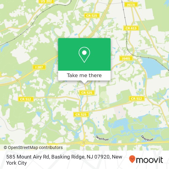 585 Mount Airy Rd, Basking Ridge, NJ 07920 map