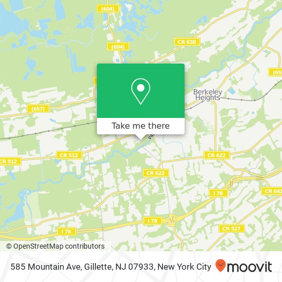585 Mountain Ave, Gillette, NJ 07933 map