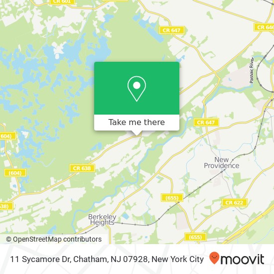 Mapa de 11 Sycamore Dr, Chatham, NJ 07928