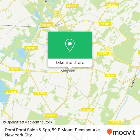 Mapa de Romi Romi Salon & Spa, 59 E Mount Pleasant Ave