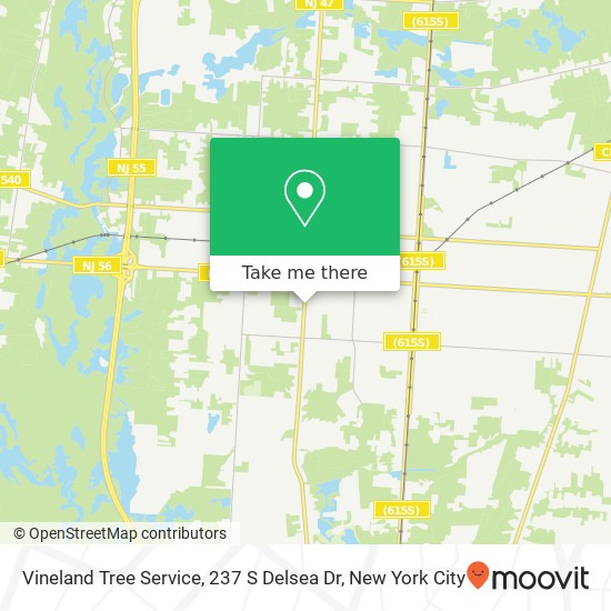 Mapa de Vineland Tree Service, 237 S Delsea Dr