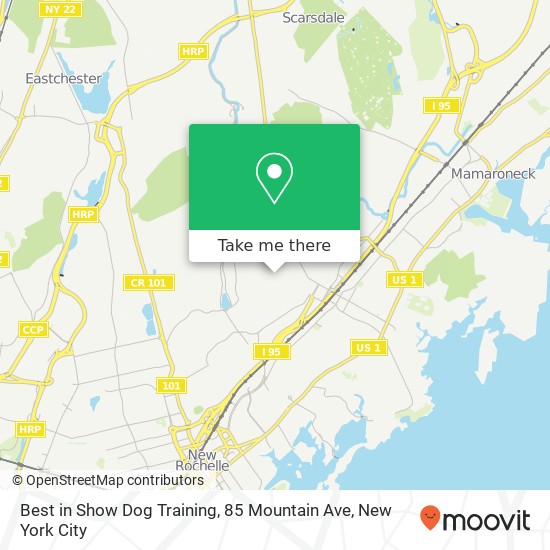 Mapa de Best in Show Dog Training, 85 Mountain Ave