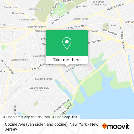 Cozine Ave (van siclen and cozine) map