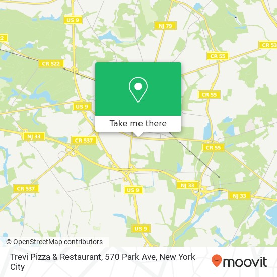 Mapa de Trevi Pizza & Restaurant, 570 Park Ave