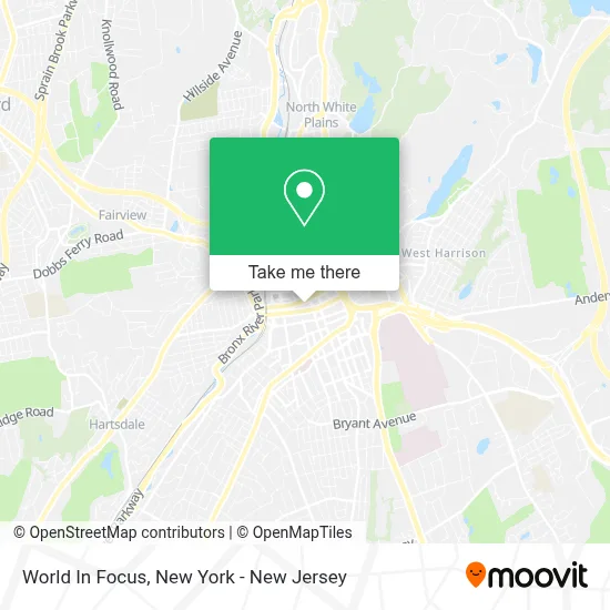 World In Focus map