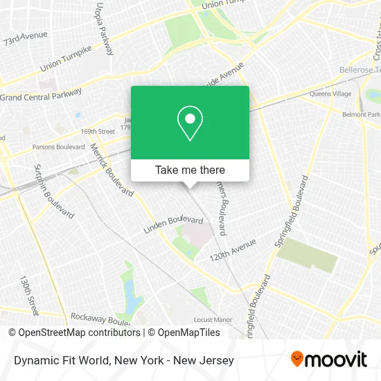 Dynamic Fit World map
