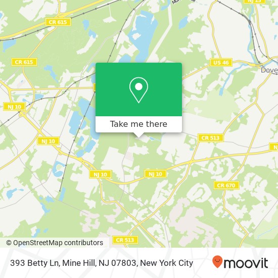 Mapa de 393 Betty Ln, Mine Hill, NJ 07803