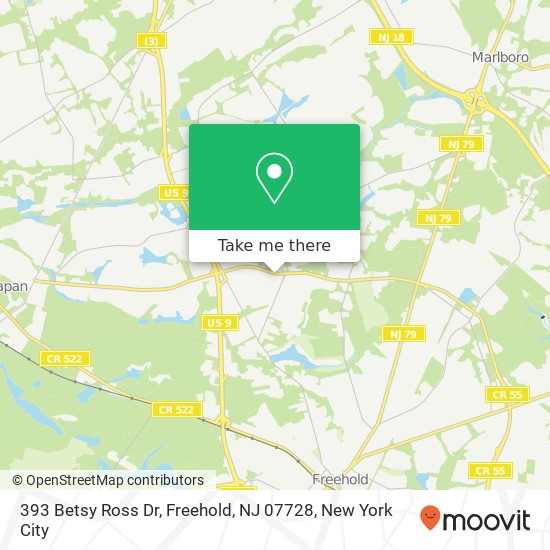Mapa de 393 Betsy Ross Dr, Freehold, NJ 07728
