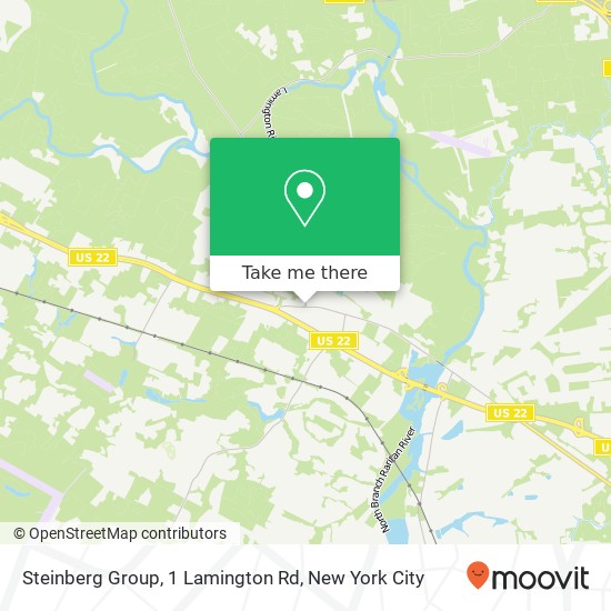 Steinberg Group, 1 Lamington Rd map