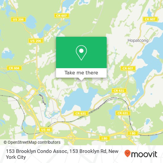 153 Brooklyn Condo Assoc, 153 Brooklyn Rd map