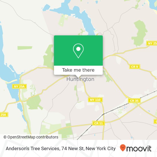 Mapa de Anderson's Tree Services, 74 New St