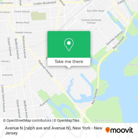 Avenue N (ralph ave and Avenue N) map