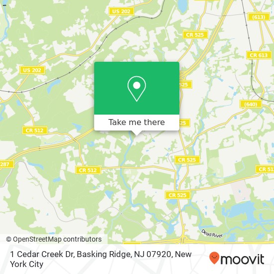 1 Cedar Creek Dr, Basking Ridge, NJ 07920 map