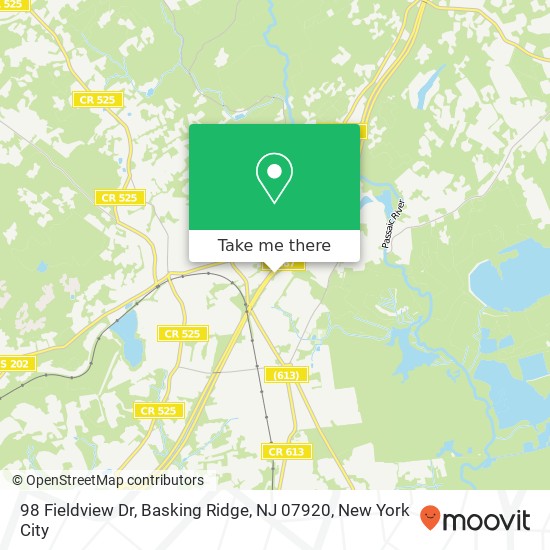 98 Fieldview Dr, Basking Ridge, NJ 07920 map