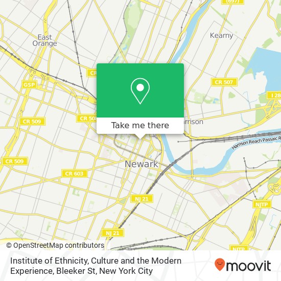 Institute of Ethnicity, Culture and the Modern Experience, Bleeker St map