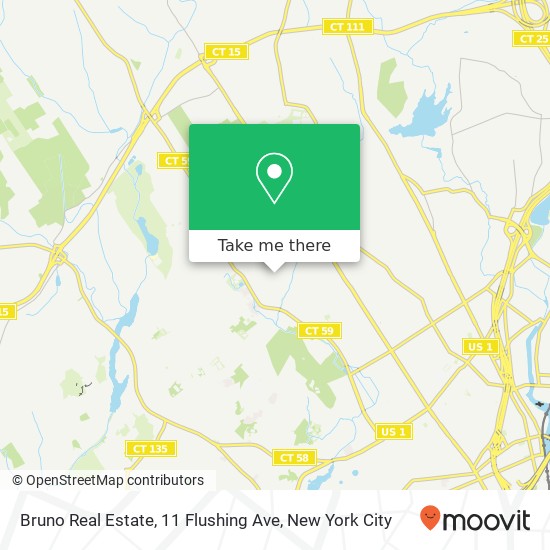 Mapa de Bruno Real Estate, 11 Flushing Ave