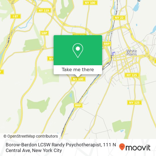 Mapa de Borow-Berdon LCSW Randy Psychotherapist, 111 N Central Ave