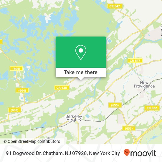 Mapa de 91 Dogwood Dr, Chatham, NJ 07928