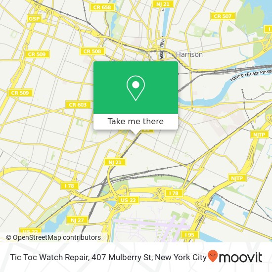 Mapa de Tic Toc Watch Repair, 407 Mulberry St