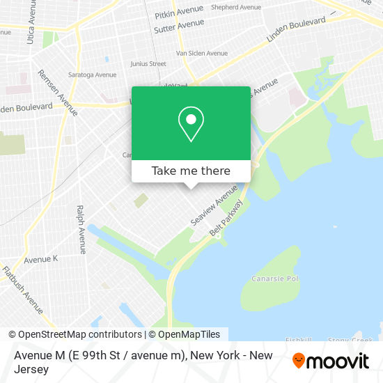 Avenue M (E 99th St / avenue m) map