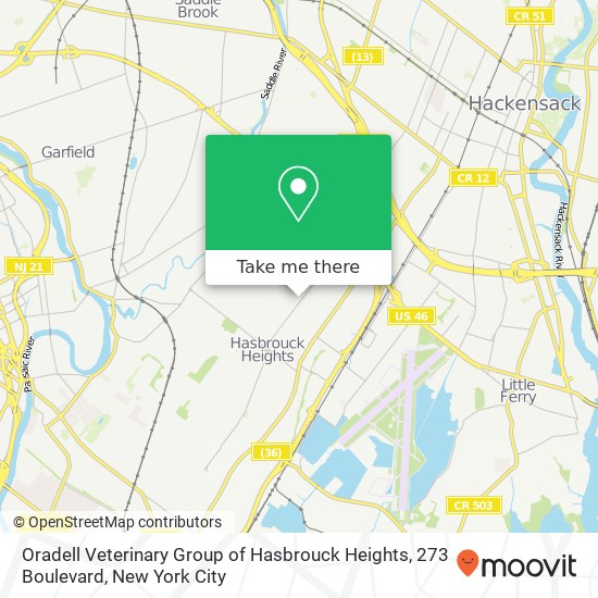 Oradell Veterinary Group of Hasbrouck Heights, 273 Boulevard map