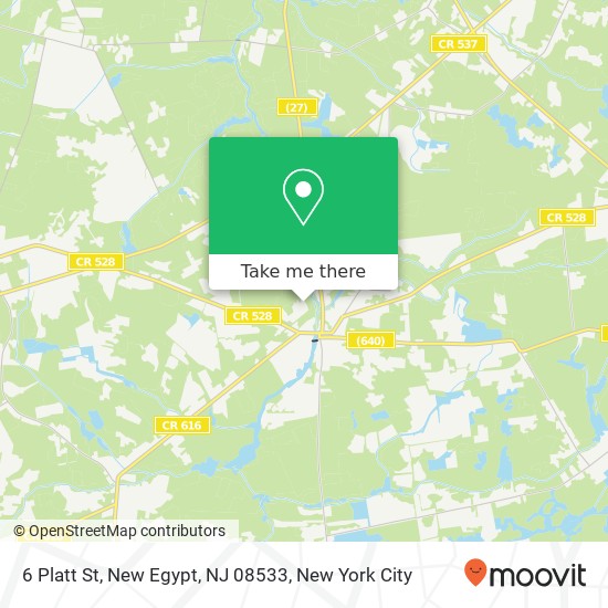 6 Platt St, New Egypt, NJ 08533 map