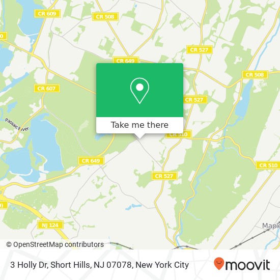 Mapa de 3 Holly Dr, Short Hills, NJ 07078