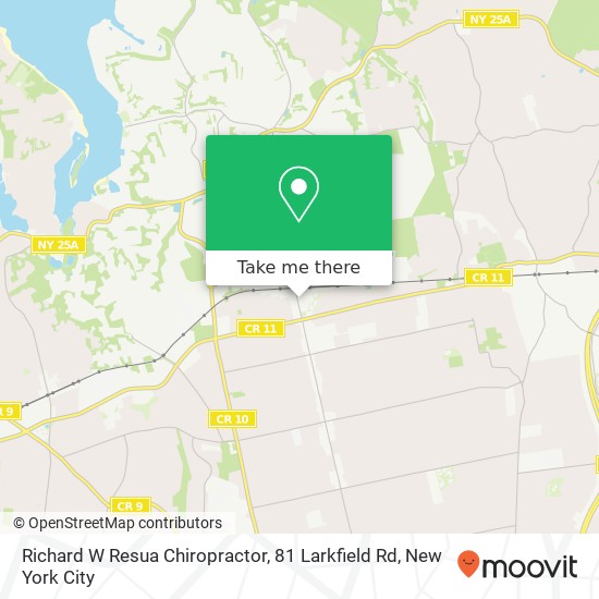 Richard W Resua Chiropractor, 81 Larkfield Rd map