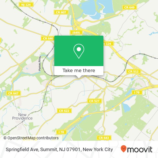 Mapa de Springfield Ave, Summit, NJ 07901