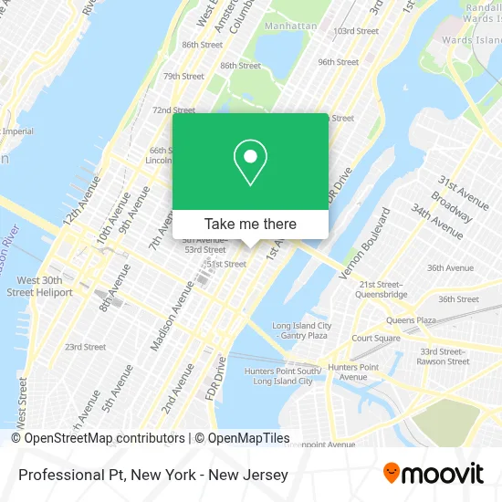 Professional Pt map